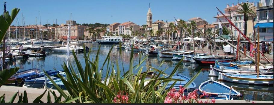 L Annexe 50M De La Plage Bandol Exterior photo